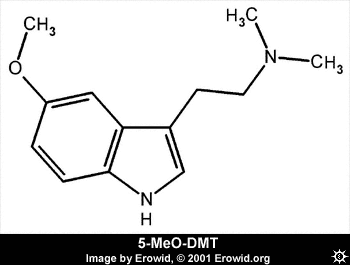 5-meo-dmt_2d.gif