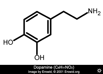 dopamine_2d