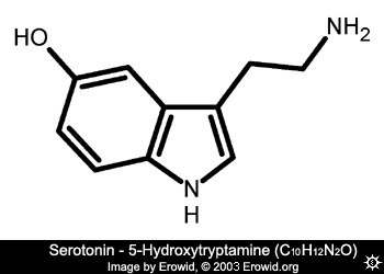 serotonin_2d