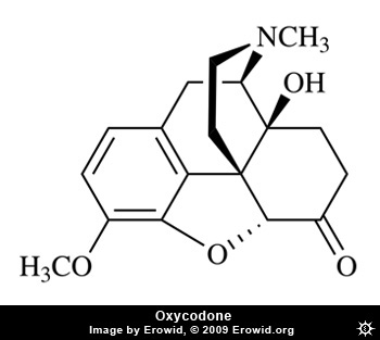 Erowid Experience Vaults: Oxycodone,.