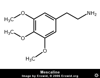 mescaline_2d
