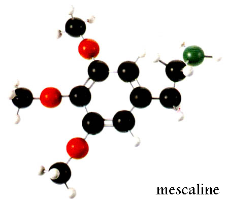 Mescaline Molecule