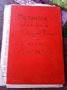 Original Metanoia Notebook