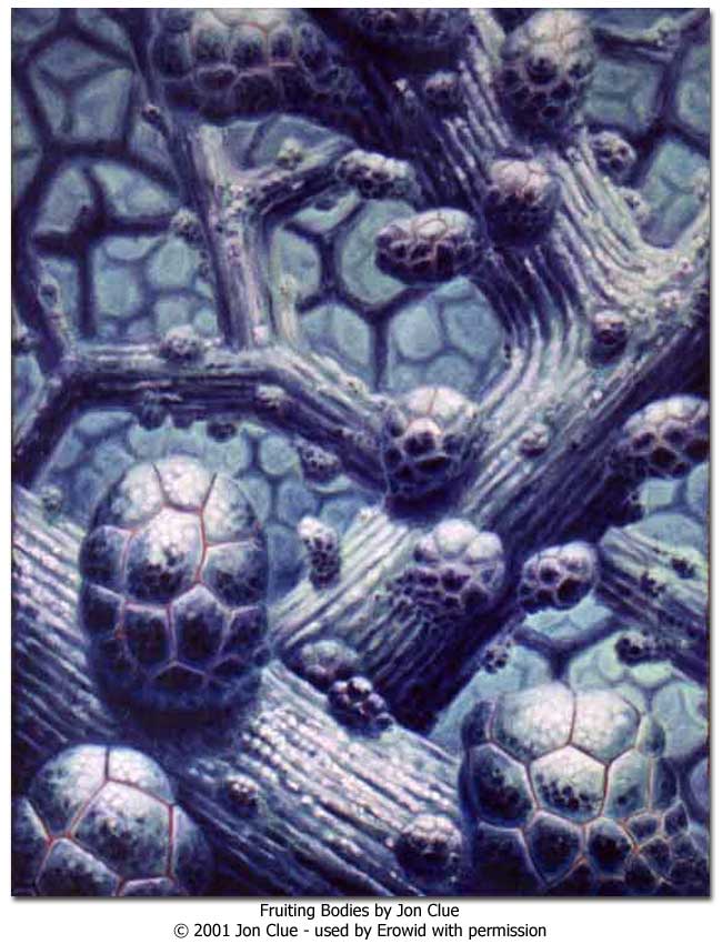 Erowid Culture Vaults Visionary Art Vaults
