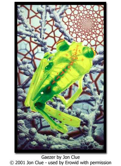 Erowid Culture Vaults Visionary Art Vaults