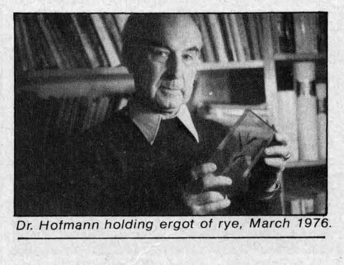 Dr. Hofmann holding ergot of rye, March, 1976