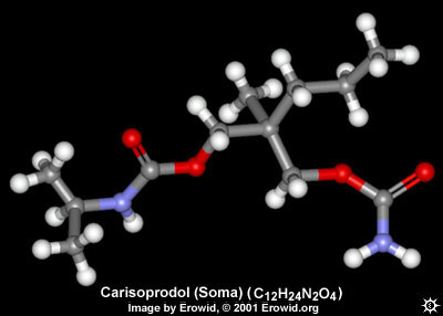 Carisoprodol Molecule