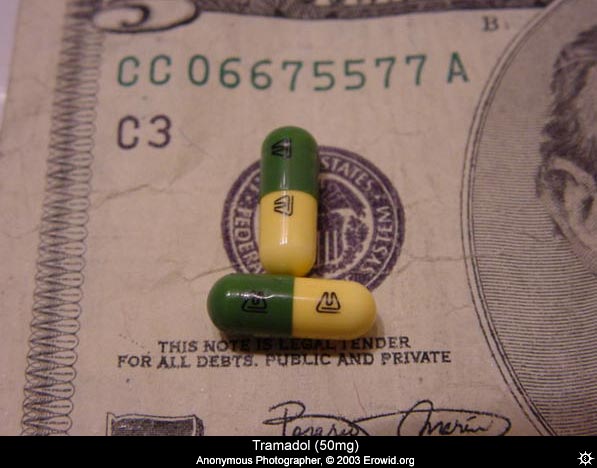 tramadol 50mg for dogs an 627.jpg