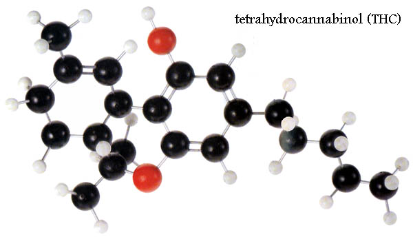thc molecule