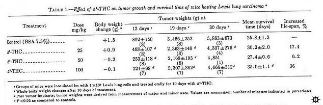 Effect of D9-THC on tumor growth and survival time of mice hosting Lewis lung carcinoma