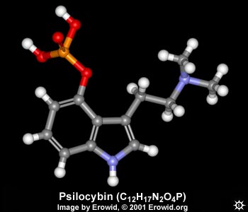 3D Psilocybin Molecule