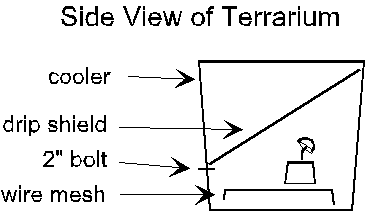 Picture of terrarium