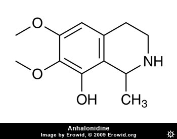 Anhalonidine Molecule
