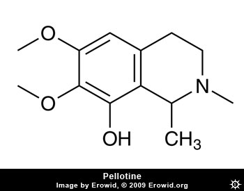 Pellotine Molecule